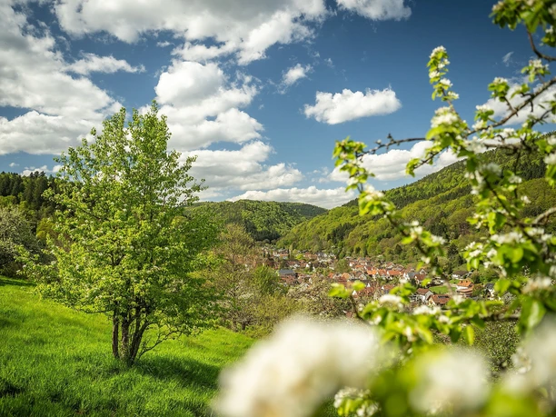 Streuobstwiesen