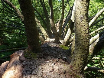 Unterwegs auf dem Wanderweg