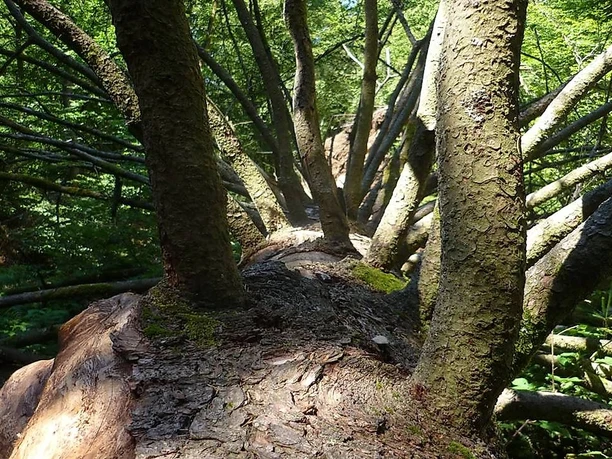 Unterwegs auf dem Wanderweg