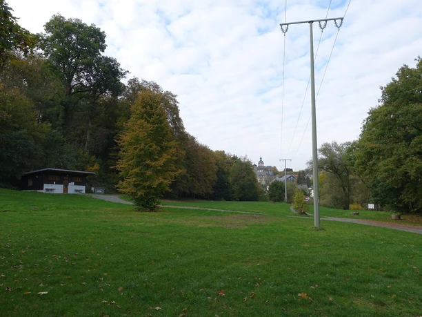 Wiese