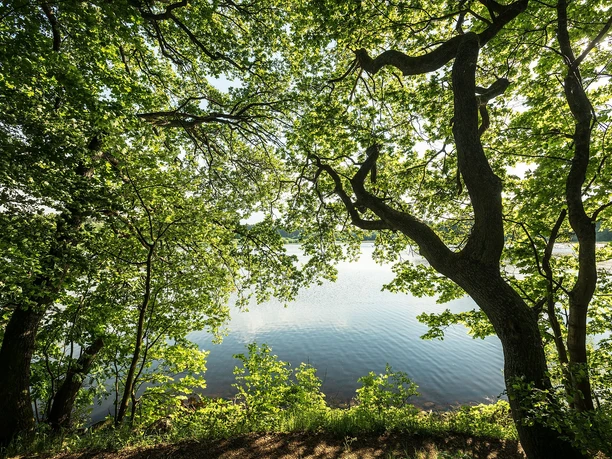 Haidenweiher