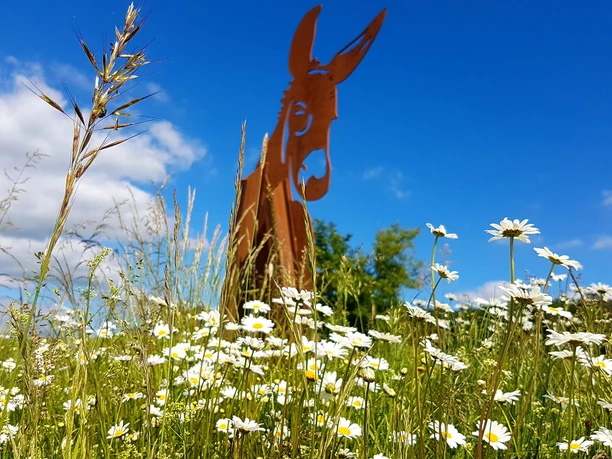Murscher Stahlesel im Sommer