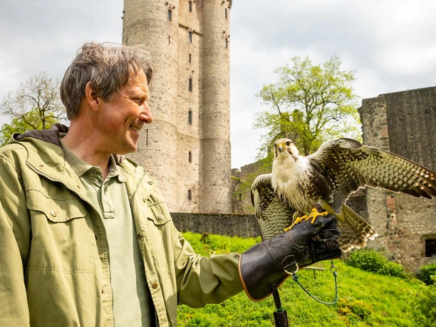 Adler- und Wolfspsark