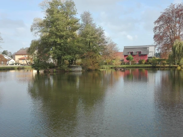 Schwanenweiher Kandel