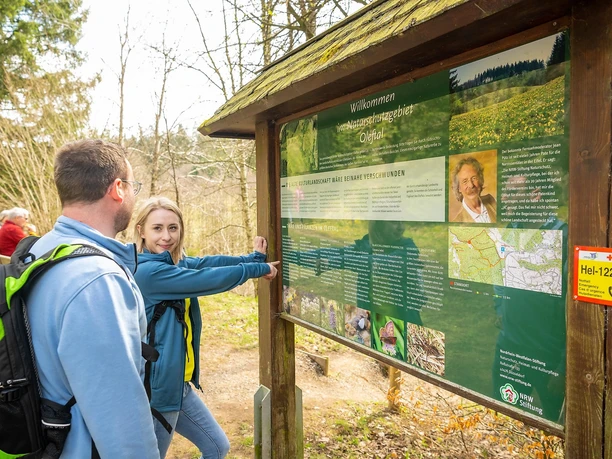 Infotafel an den Narzissenwiesen im Oleftal