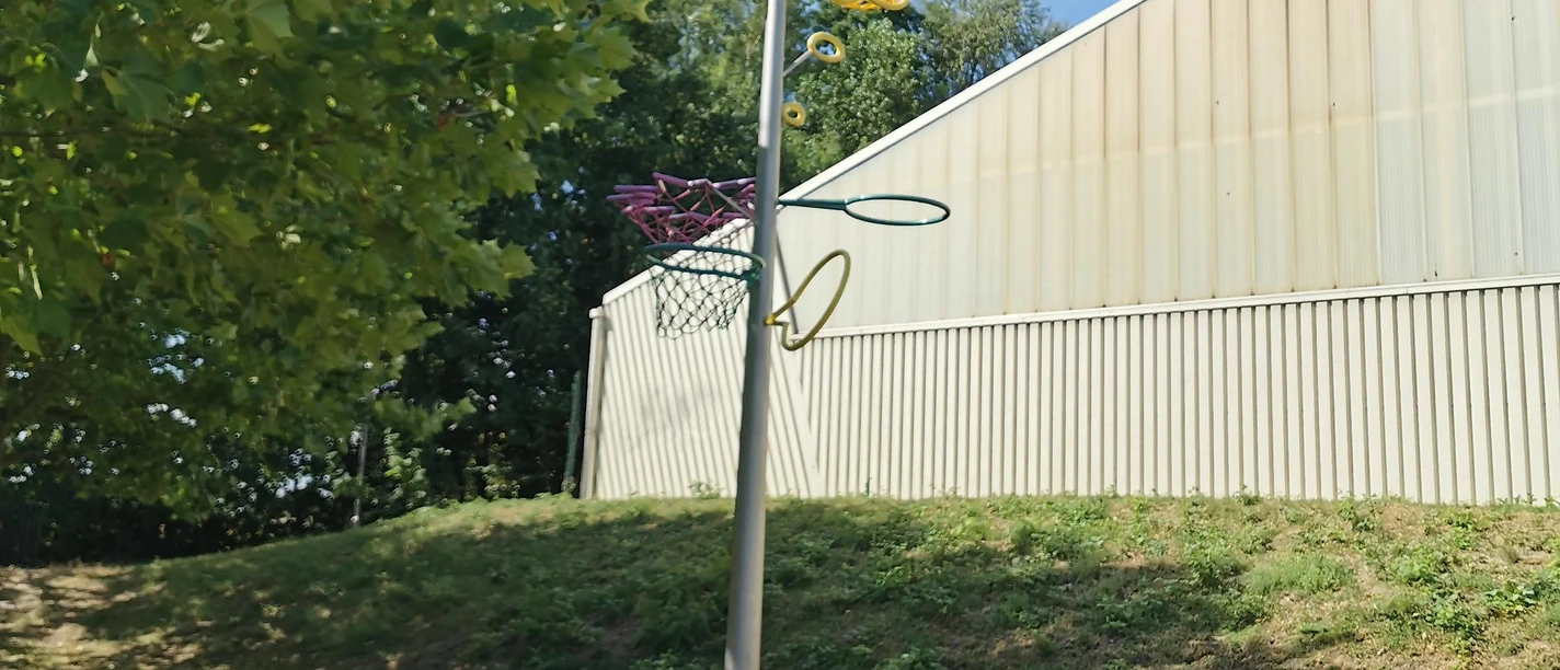 Basketballbaum