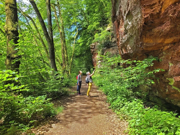 König-Johann-Runde (1)