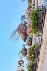 Fliegen_Grimm-Dich-Pfad Marburg