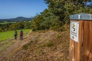 Hocheifel-Panorama-Weg_Blick auf den Aremberg