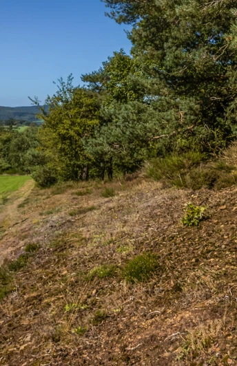 Hocheifel-Panorama-Weg_Blick auf den Aremberg