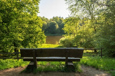 Ruhebank am Windsborn Krater