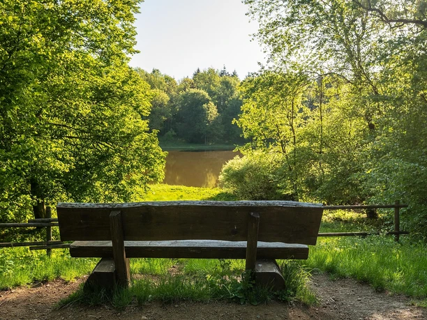 Ruhebank am Windsborn Krater
