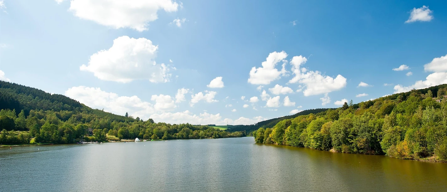 Blick auf den Kronenburger See