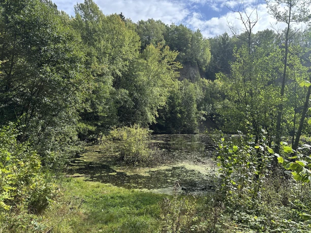 Naturschutzgebiet Schimmerich
