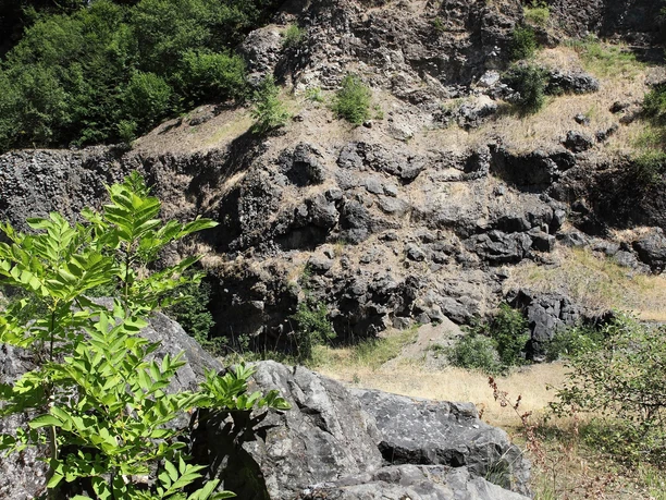 Arensberg