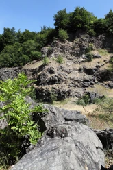 Arensberg
