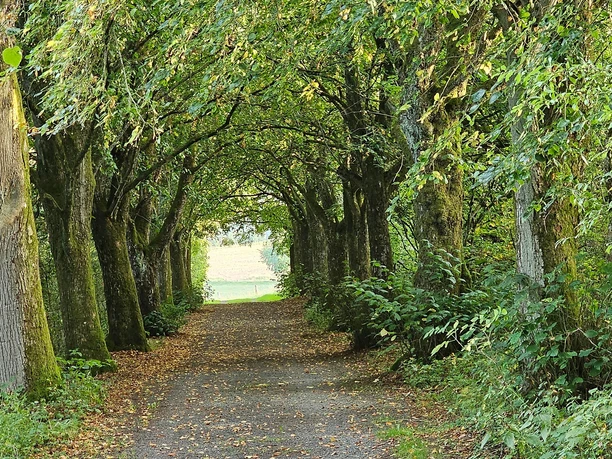 Wanderweg Ehrenmal Stadtkyll