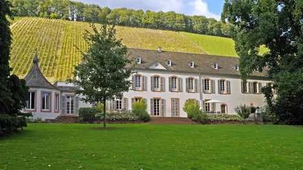 Weingut Von Othegraven, Kanzem (01)