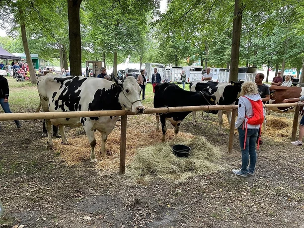Tierschau