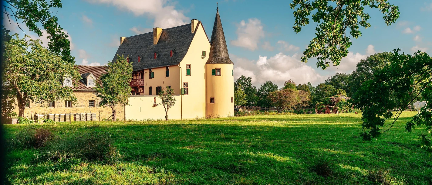 Burg Langendorf Burg Langendorf
