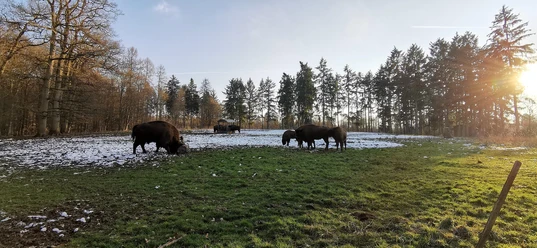 Tierpark