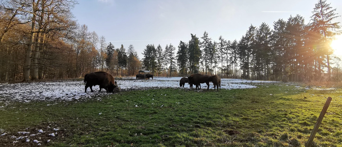 Tierpark