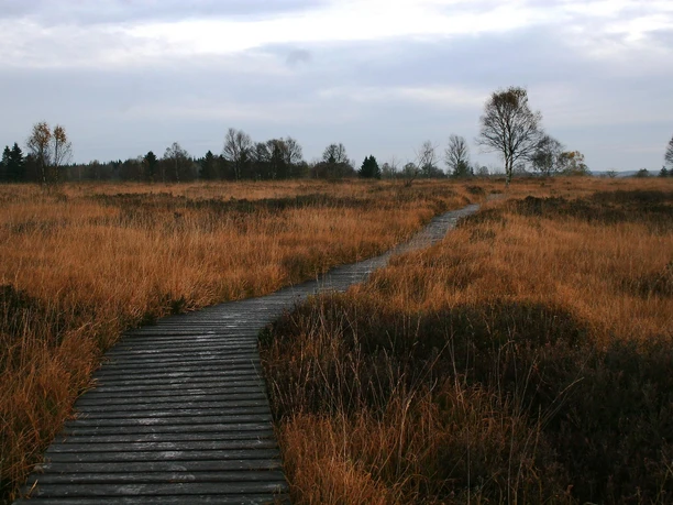 Herbst Morgen