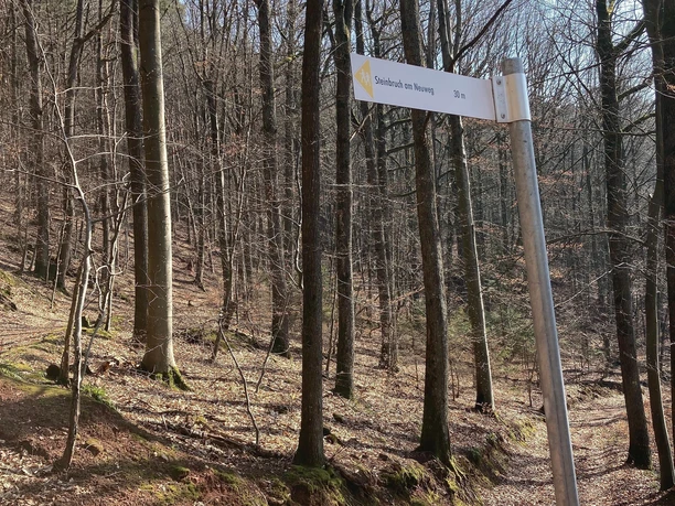 Wegweiser