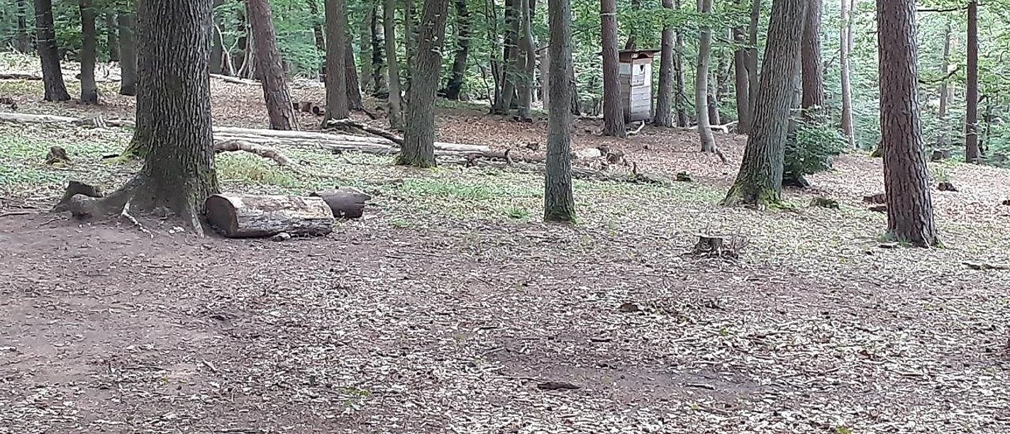 Überblick Trekkingplatz Ramsen