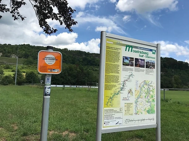 Wasserliesch (1)