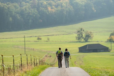 Wanderung im Hohlenfelsbachtal