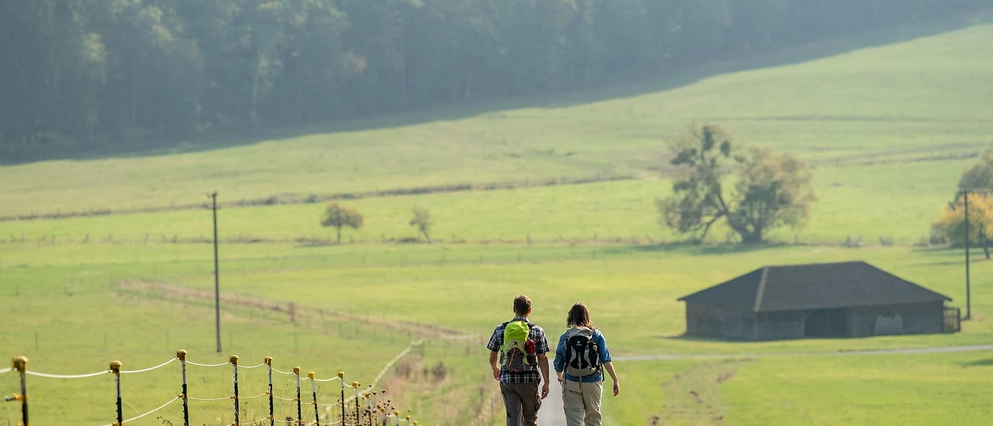 Wanderung im Hohlenfelsbachtal