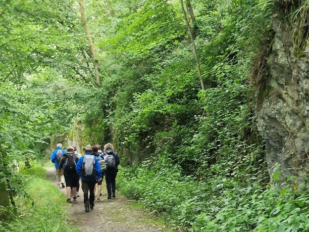 Weinwanderung