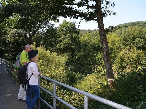 Blick ins Tal der Kleinen Kyll