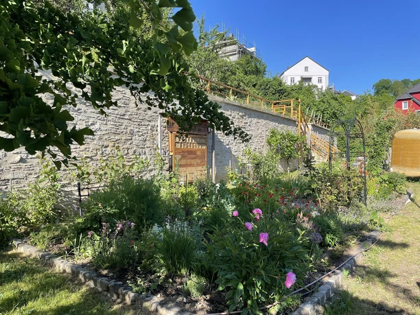 Garten (3)