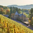 Wein-Self-Walk Tour zum Schloss Marienlay