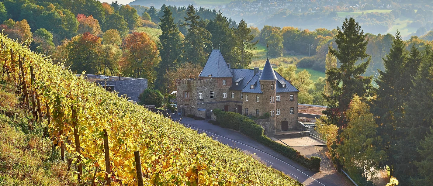 Wein-Self-Walk Tour zum Schloss Marienlay