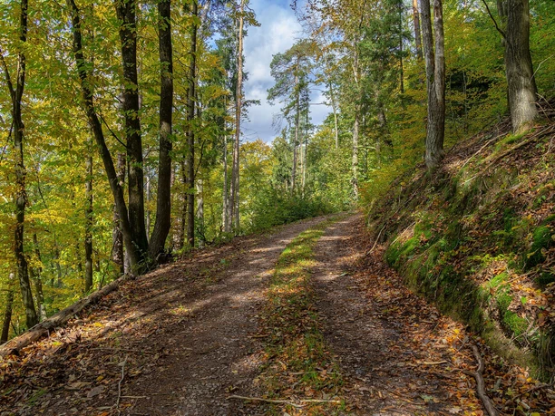 Wandern auf dem Römerweg