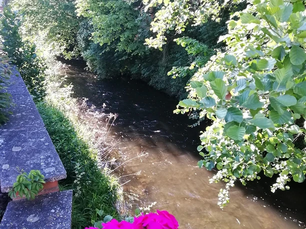 ... durch die Ortsgemeinde Siebeldingen.
