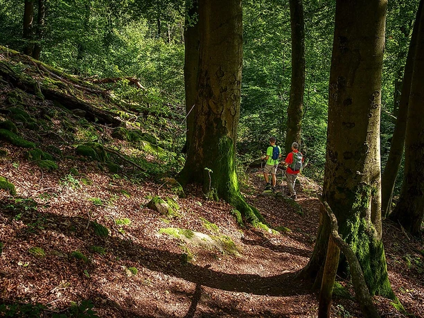 Wanderung auf der Weiselberg Gipfeltour
