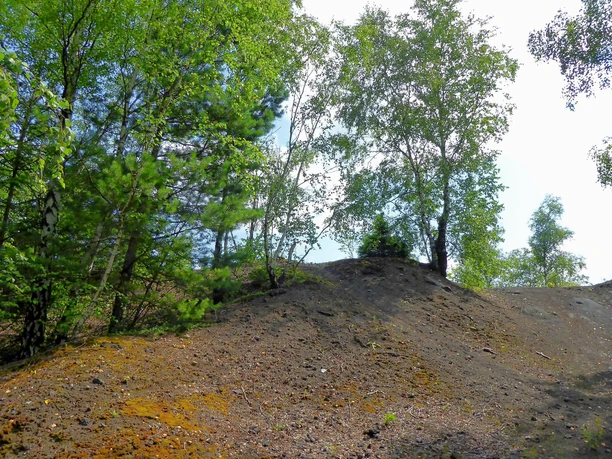 Sandhalde der ehem. Charlottenhütte