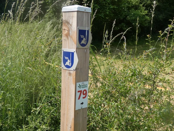 Beschilderung Fitnessweg