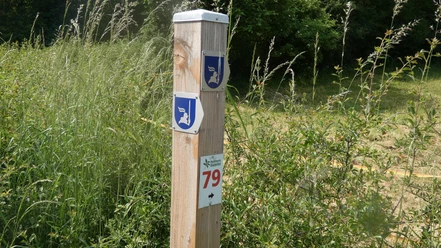 Beschilderung Fitnessweg