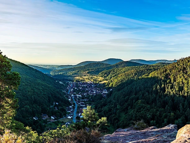 Blick vom Beutelsberg