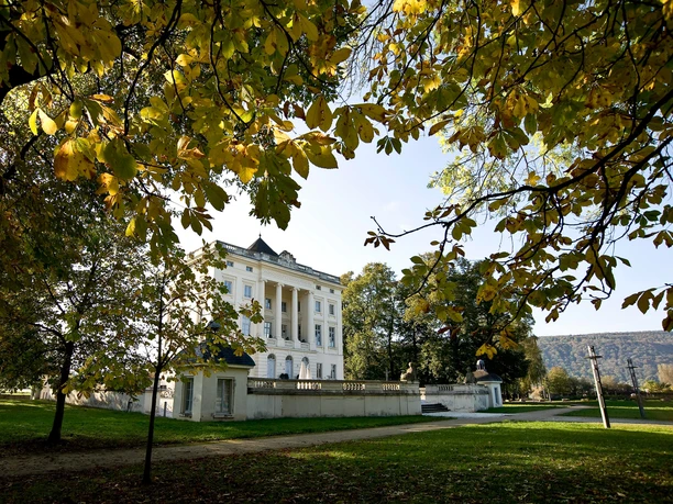 Schloss Monaise mit Bäumen