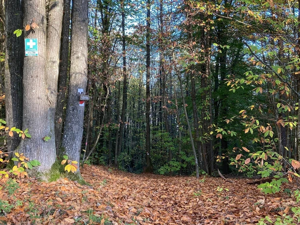 Weinsteig Franzosenkopf