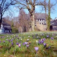 Schloss Schönstein im Frühling