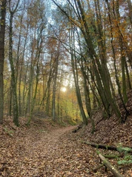 Herbstwanderung