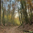 Herbstwanderung