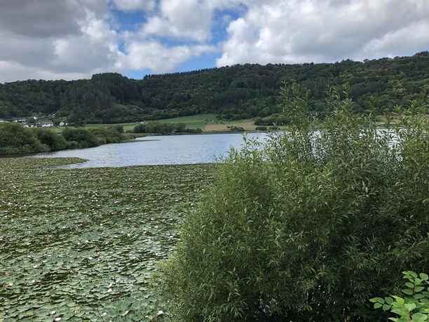 Blick auf das Meerfelder Maar